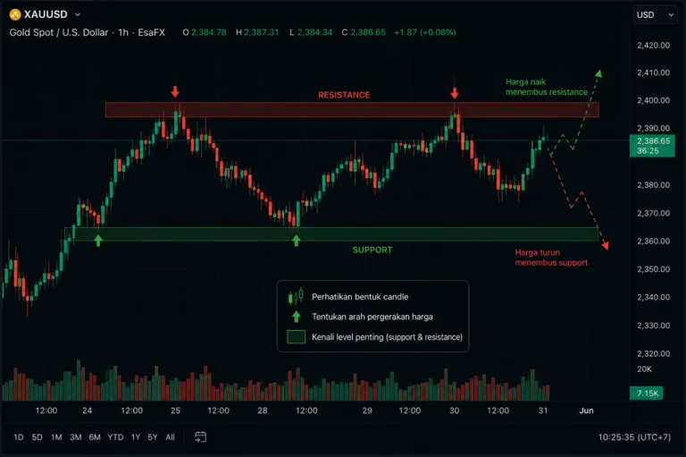 "ilustrasi grafik ilustrasi simulasi baca chart